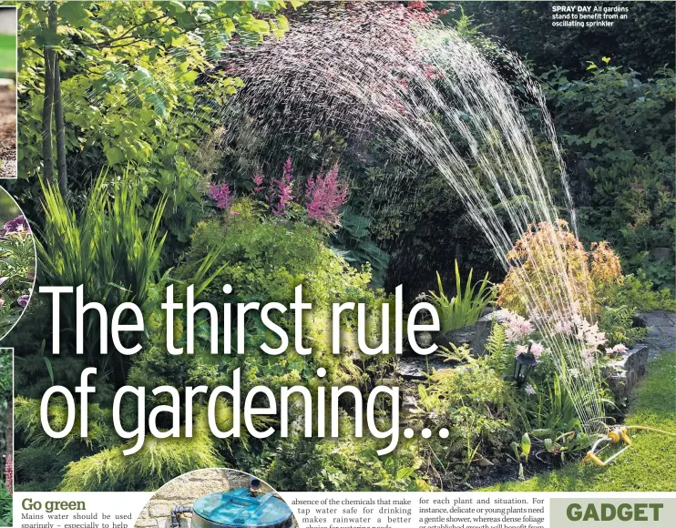  ??  ?? SPRAY DAY All gardens stand to benefit from an oscillatin­g sprinkler