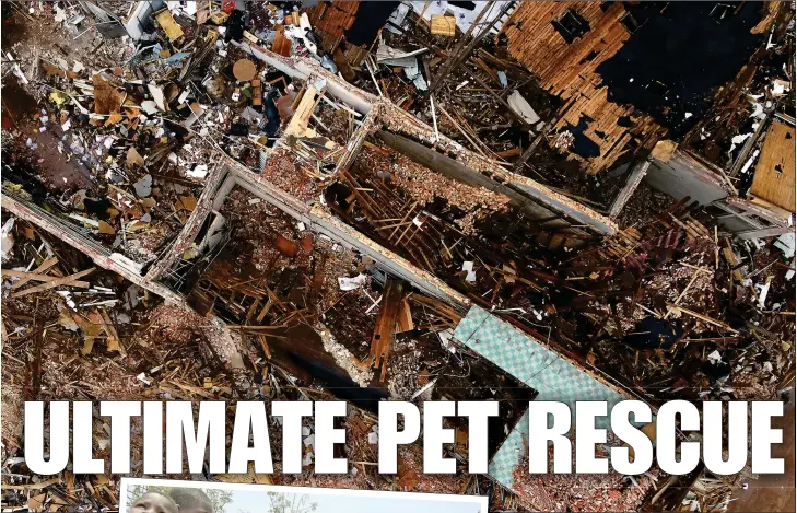  ?? Picture: CREDIT COLON MAKES IT CAPS ?? ANIMAL MAGIC: Main image, View from Doug’s drone of tornado devastatio­n in Kentucky; right, showing children in Malawi his kit; left, rescued kitten; top left, Doug rescuing a dog at a dump in the Dominican Republic