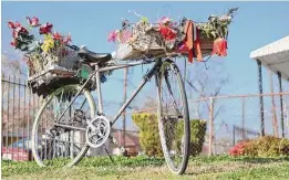  ?? Staff file photos ?? Top: Cleveland Turner, known as Flower Man, rides his bike around collecting things for his art in 2011. Above: Only a decorated bike remains in 2015 where the folk artist’s home once stood.