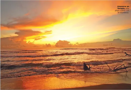  ??  ?? Roberto Barrios | La Estrella de Panamá
Amanecer en Soropta, esta playa cuenta con 16 kilómetros.
Roberto Barrios | La Estrella de Panamá