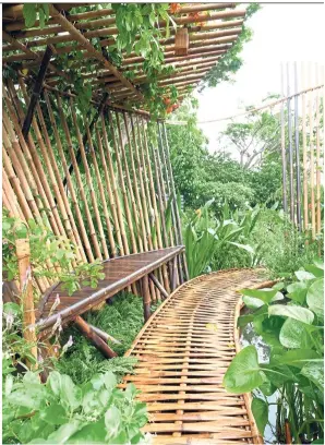  ?? — LIM KIM BOON ?? The Wild and the Restless show garden entry by Lim at the Singapore Garden Festival 2018 bring’s people’s attention to wayside plants, something that they don’t usually notice but are beautiful.