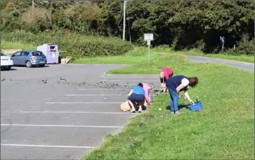  ??  ?? Civic-minded people clearing the trail of glass at the car park.