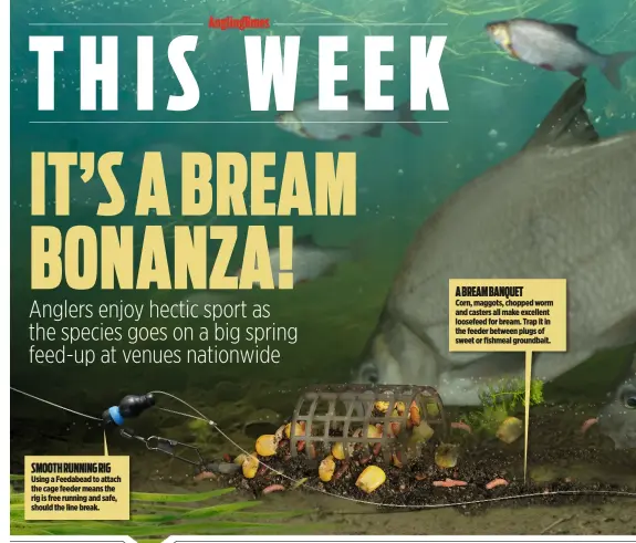  ??  ?? SMOOTH RUNNING RIG Using a Feedabead to attach the cage feeder means the rig is free running and safe, should the line break. Corn, maggots, chopped worm and casters all make excellent loosefeed for bream. Trap it in the feeder between plugs of sweet...