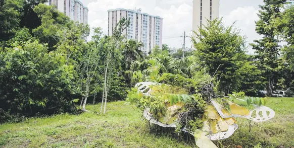  ??  ?? La Red también tiene como fin mejorar la calidad del agua del sistema que comprende el estuario de la bahía de San Juan. Arriba, el bosque urbano Doña Inés.