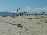  ??  ?? La spiaggia della Lecciona, Viareggio