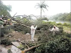  ?? ERIKA SANTELICES/GETTY-AFP ?? Crews cut branches of a tree toppled by Tropical Storm Isaias on Thursday in the Dominican Republic.