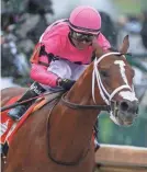  ?? LOUISVILLE COURIER JOURNAL ?? Maximum Security, with Luis Saez aboard, was sired by 2013 Breeders’ Cup Juvenile winner New Year’s Day.
