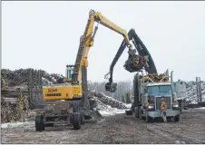  ?? MARK GOUDGE/SALTWIRE NETWORK ?? Lumber is unloaded from trucks for use at Northern Pulp’s mill at Abercrombi­e Point.