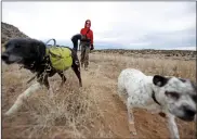  ?? LUIS SÁNCHEZ SATURNO THE NEW MEXICAN FILE ?? Z Jacobson of Santa Fe walks in 2015 with her dogs Noodles, left, and Lulu on Dead Dog Trail off Old Buckman Road, where Noodles got caught in a trap. The experience has turned Jacobson into an activist, with a goal of banning leg-hold traps on public lands.