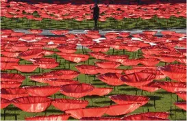  ??  ?? A woman poses for a selfie at the ‘ Never again’ poppy installati­on at Koenigspla­tz in Munich, southern Germany on Monday, as Europe prepares to mark the Centenary of the ending of the First World War.