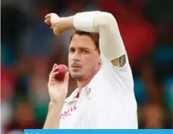  ??  ?? Dale Steyn