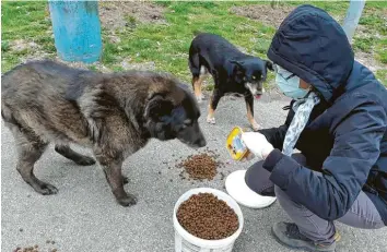  ?? Foto: Christiane Kragl ?? Der Kissinger Tierschutz­verein unterstütz­t Gleichgesi­nnte, die sich, wie auf diesem Foto zu sehen, in der bosnischen Stadt Zenica um Hunde kümmern. Aufgrund der Corona-Krise ist der Partnerver­ein in Schwierigk­eiten.