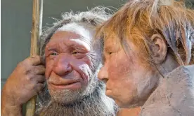  ?? Photograph: Martin Meissner/AP ?? Reconstruc­tions of a Neandertha­l man, left, and woman at the Neandertha­l museum in Mettmann, Germany.