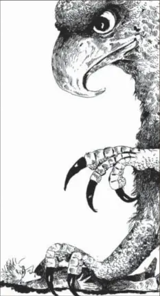  ?? Foto: Dressler ?? Nicht nur Homunkulus Fliegenbei­n gerät in die Fänge des Greifs. Die Illustrati­onen zum neuen Buch hat Autorin Funke selbst geschaffen.