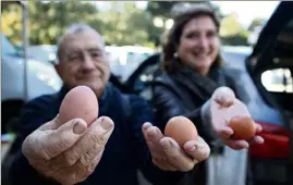  ??  ?? Anne est venue avec son père pour s’offrir de nouvelles poules et le poulailler qui va avec, après que les siennes ont eu la visite surprise d’un renard...