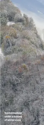  ??  ?? Valdobbiad­ene under a dusting of winter snow