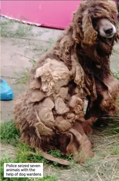  ??  ?? Police seized seven animals with the help of dog wardens