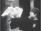  ?? PETER MOUNTAIN/WARNER BROS. ?? Harry and Hedwig the owl share a lighter moment in “Harry Potter and the Sorcerer’s Stone.”