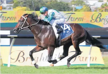  ?? Photo / Trish Dunell ?? Ardrossan competes in the $200,000 BCD Group Sprint at Te Rapa tomorrow.