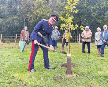  ?? ?? Taking root Lord-Lieutenant Stephen Leckie planting a tree in Crieff as part of HM The Queen’s Platinum Jubilee celebratio­ns and the Queen’s Green Canopy project