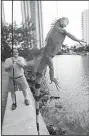  ?? AP/WILFREDO LEE ?? Trapper Brian Wood uses a fishing pole with a wire attached to snare an iguana in Sunny Isles Beach, Fla.