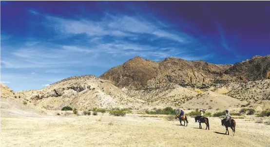  ?? Michael Ciaglo / Houston Chronicle ?? Horseback riders pass through Rough Run Creek outside Big Bend National Park in Terlingua.