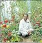  ?? ?? A farmer looks at his crop prepared with zero-budget natural farming in Shimla.