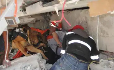  ?? FOTO: CARLOS CISNEROS, AP/NTB SCANPIX ?? Redningsar­beidere og hunder leter etter barn i ruinene av en skole i Mexico by.