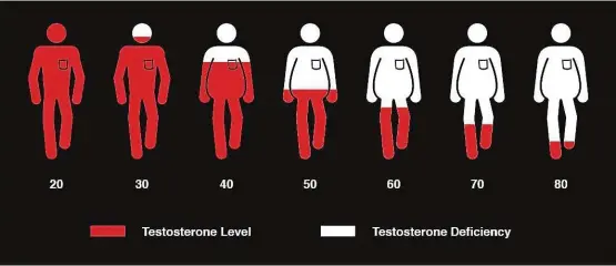  ??  ?? Studies show that total testostero­ne decreases by approximat­ely 30% in healthy men between the ages of 25 and 75.