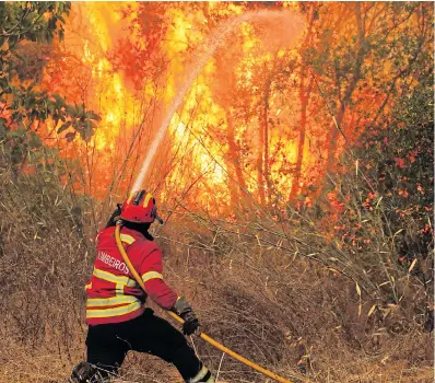  ??  ?? A firefighte­r battles a forest blaze in the Rasmalho area of Monchique, southern Portugal, yesterday