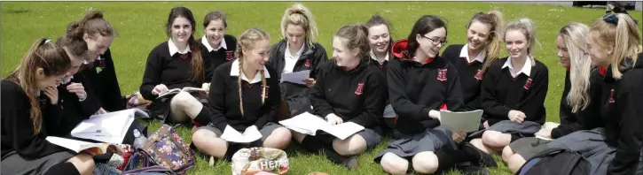  ??  ?? Emily Lannon, Lauren Kelly, Alison Dawson, Sinead Foley, Alanna Conroy, Sarah Gorman, Erika Goodwin Monteagudo, Orla Gleeson, Sarah Lalor, Slaura Sheerin, Hannah Smyth, Rebecca Murphy and Sadhbh Redford from Loreto Secondary School, Bray.