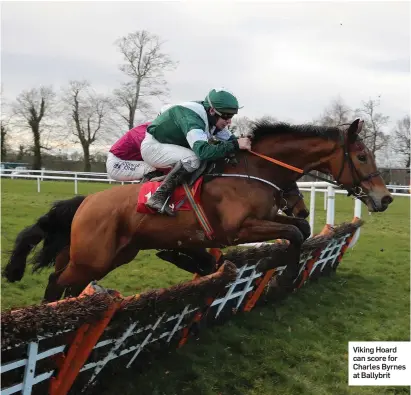  ??  ?? Viking Hoard can score for Charles Byrnes at Ballybrit