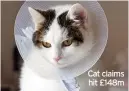  ??  ?? Cat claims hit £148m