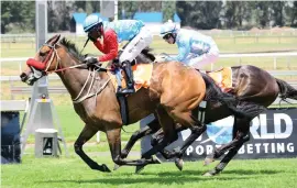  ?? Picture: JC Photograph­ics ?? DAN’S THE MAN. Dan The Lad, ridden by S’manga Khumalo, wins the match race against Tsitsikamm­a Dance (Ryan Munger) to win the WSB Grand Series over 1475m at the Vaal on Saturday.