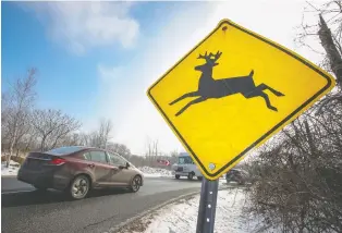  ??  ?? A deer crossing sign on Daoust St. in Ste-anne-de-bellevue warns of active wildlife. Hunting is a method of controllin­g that population, including deer, Quebec's wildlife ministry and hunters' federation argue.