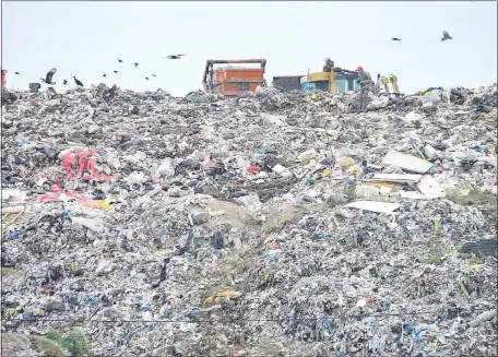  ??  ?? El Farol habría prometido a los primeros reciclador­es residentes en Remansito viviendas sociales y mejoramien­to de las condicione­s sociales, pero no cumplió, según el dirigente vecinal Isidoro Fernández.