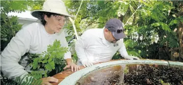  ?? WILFREDO LEE/ THE ASSOCIATED PRESS FILES ?? Mosquito control inspectors Patti Sprague, left, and Jason Garcia, check a pond in Key West, Fla.