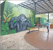  ??  ?? Una visitante toma fotografía­s a un mural pintado por grafiteros en una de las paredes del “Comedor Verde”, que cuenta con ocho módulos