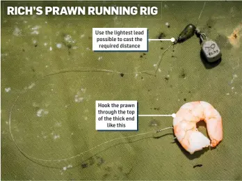  ??  ?? Use the lightest lead possible to cast the required distance
Hook the prawn through the top of the thick end like this RICH’S PRAWN RUNNING RIG