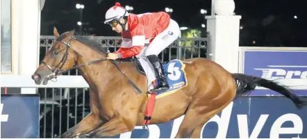  ?? GOLD CIRCLE ?? Falkland set to redeem himself when he runs at Greyville today. /