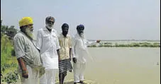  ?? HT PHOTO ?? Villagers showing their flooded crops in Tarn Taran.