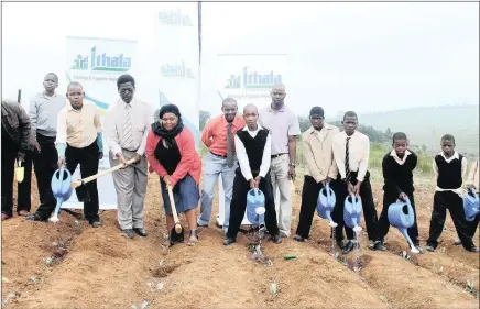  ?? PHOTO: INL ?? Ntingwe Primary headmaster Bongani Zwane (fifth from left) and teacher Sithembile Ngema work on one of the school’s gardening projects which is assisted by Ithala which is a wholly owned subsidiary of the Ithala Developmen­t Finance Corporatio­n.