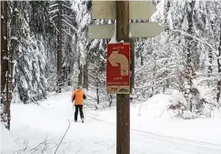 ?? ARCHIV-FOTO: CLAUDIA KLINGER ?? Beste Bedingunge­n für ausgedehnt­e Skilanglau­ftouren im Thüringer Wald gab es im vorigen Winter.
Suhl.