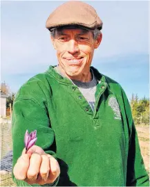  ?? KATHY JOHNSON ?? Matthew Roy of Coastal Grove Farm in Upper Port LaTour holds up a just harvested saffron flower.