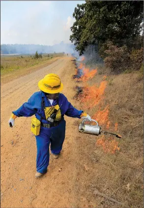  ?? Arkansas Democrat-Gazette/STATON BREIDENTHA­L ?? Derinda Smith-Applewhite sets fire to dry grass Wednesday during a workshop on controlled burns at Camp Robinson. Wildfire risk is up across the state.