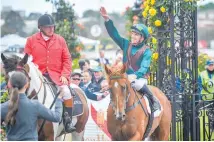  ?? Photo / Reg Ryan, Racing Photos ?? Australian Josh Parr rides in New Zealand for the first time today.