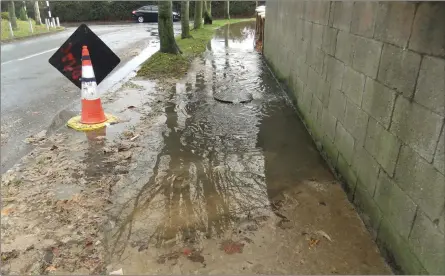  ??  ?? It is hoped the issues with a blocked sewer in a Drogheda estate are now resolved.