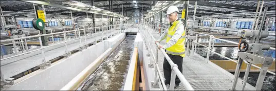  ?? Ian Waldie Bloomberg News ?? Desalinati­on is used worldwide, from Israel to Australia. Here, a project engineer watches as salt water flows into the pretreatme­nt hall at a desalinati­on plant in Sydney, Australia.