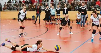  ??  ?? Der riesige Kampfgeist und das große Zusammenge­hörigkeits­gefühl waren die entscheide­nden Faktoren für so manchen Sieg der Volleyball­erinnen des FC Kleinaitin­gen (hier im Spiel gegen München).