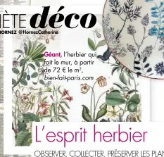  ??  ?? Géant, l’herbier qui fait le mur, à partir de 72 € le m2, bien-fait-paris.com